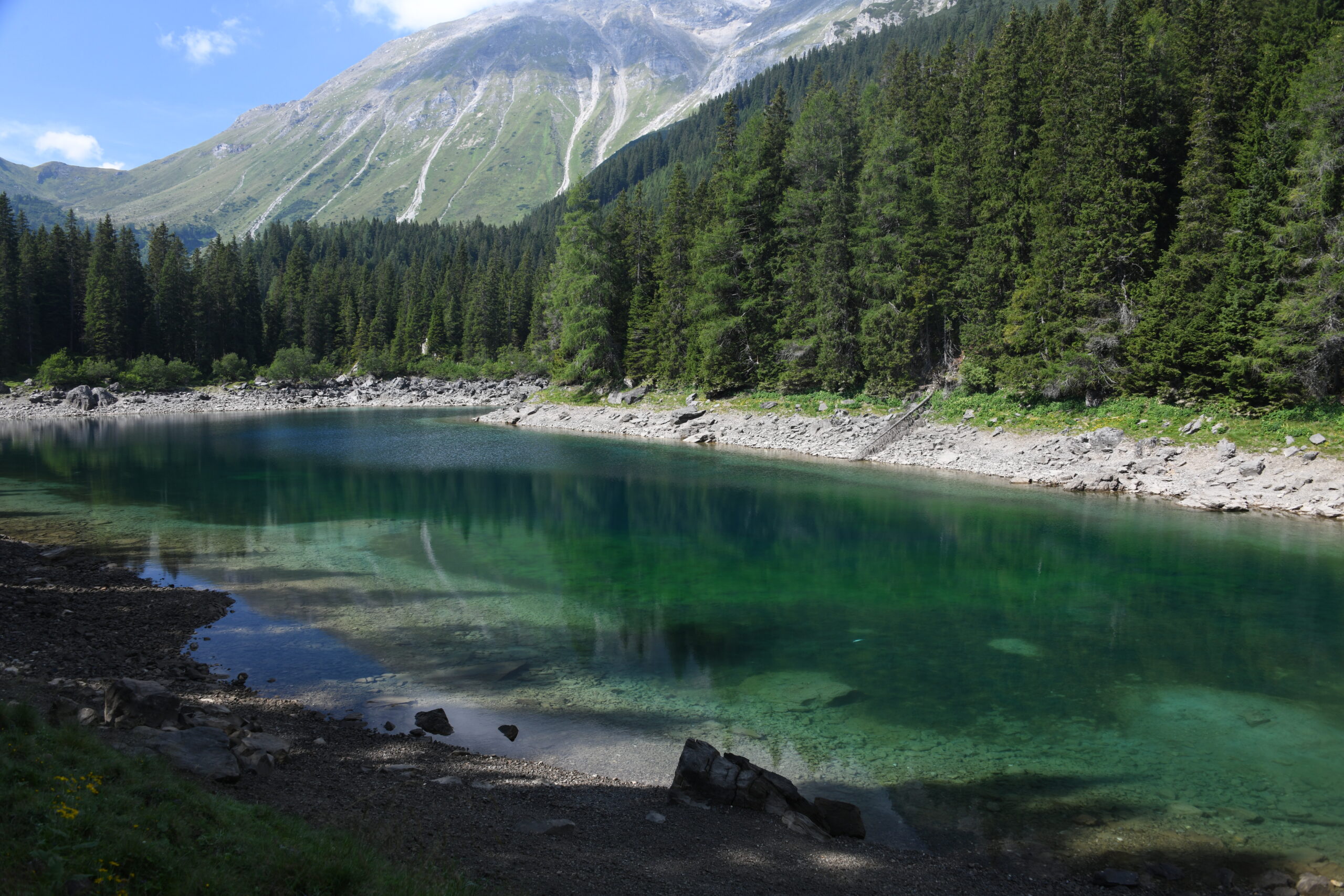  Mindgame 
Trainiere deine Mentale Stärke
Mentaltraining
Mentalgiganten
Mental giganten Mindset 